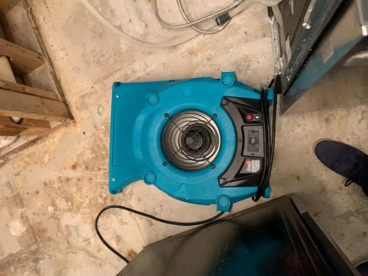 Air mover drying equipment for Mold Remediation & Removal in Bay Point